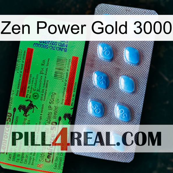 Zen Power Gold 3000 new03.jpg